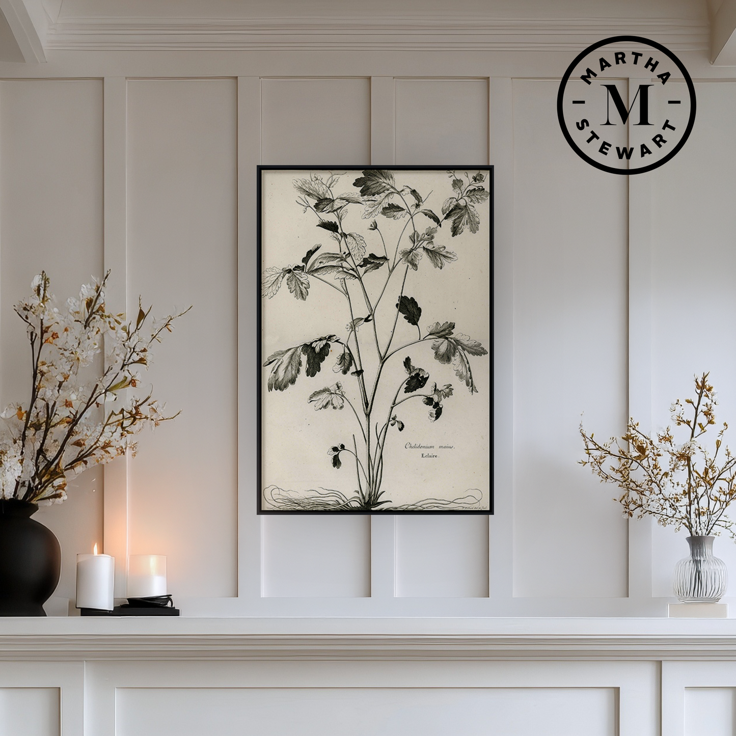 Martha Stewart Skylands | Woodland Botanical Study: Bramble | Framed Vintage Botanical Illustration | Estate Wall Art