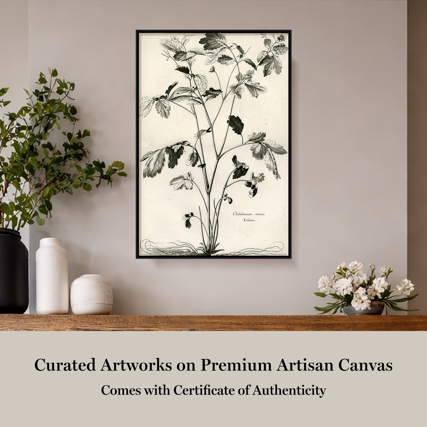 Martha Stewart Skylands | Woodland Botanical Study: Bramble | Framed Vintage Botanical Illustration | Estate Wall Art