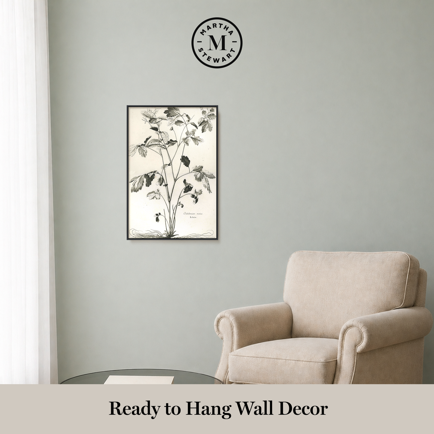 Martha Stewart Skylands | Woodland Botanical Study: Bramble | Framed Vintage Botanical Illustration | Estate Wall Art