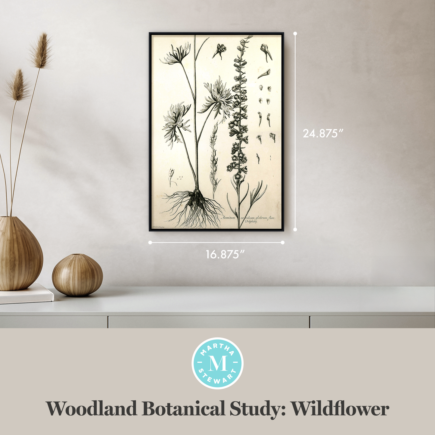 Martha Stewart Skylands | Woodland Botanical Study: Wildflower | Framed Vintage Botanical Print | Estate Study Décor