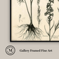 Martha Stewart Skylands | Woodland Botanical Study: Wildflower | Framed Vintage Botanical Print | Estate Study Décor