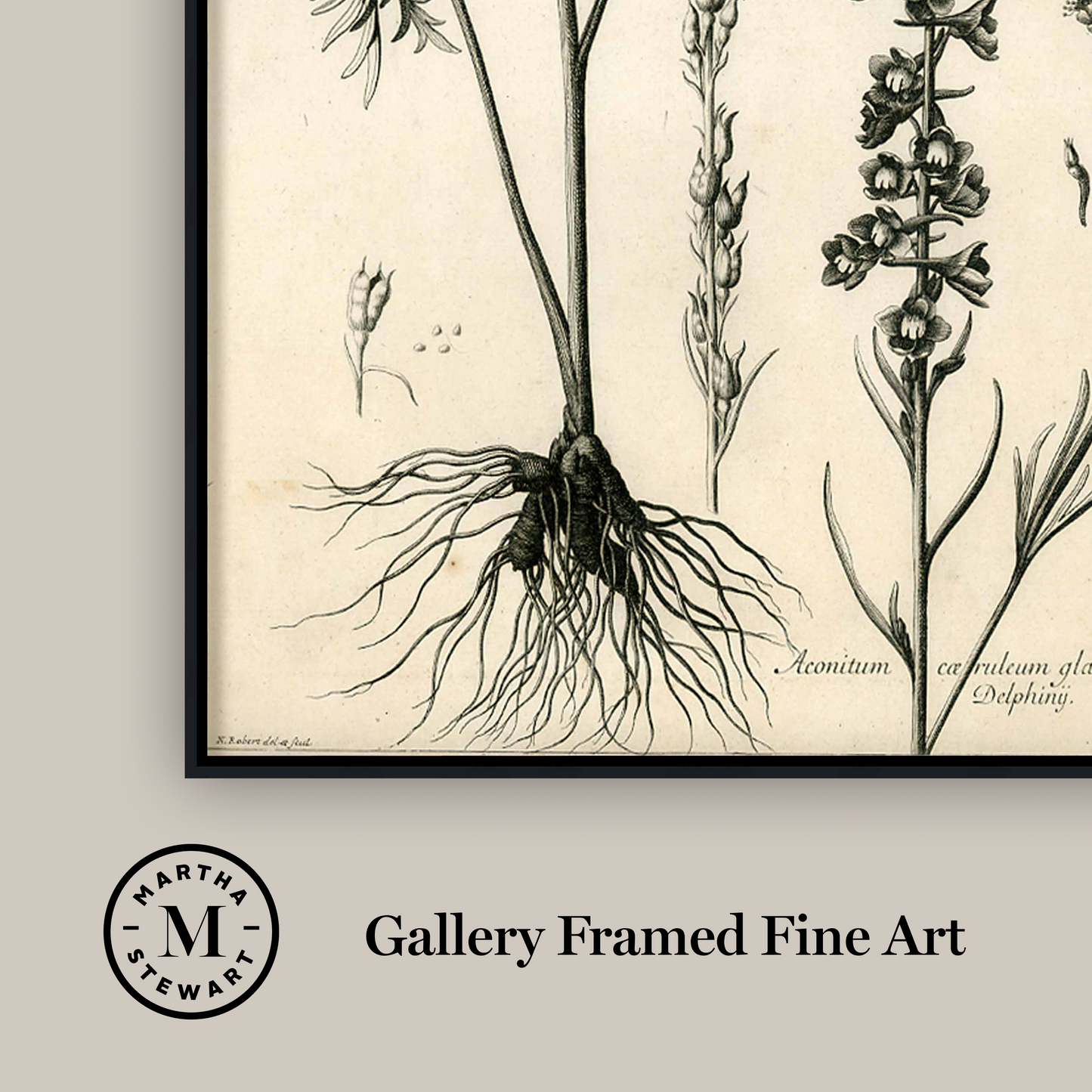Martha Stewart Skylands | Woodland Botanical Study: Wildflower | Framed Vintage Botanical Print | Estate Study Décor