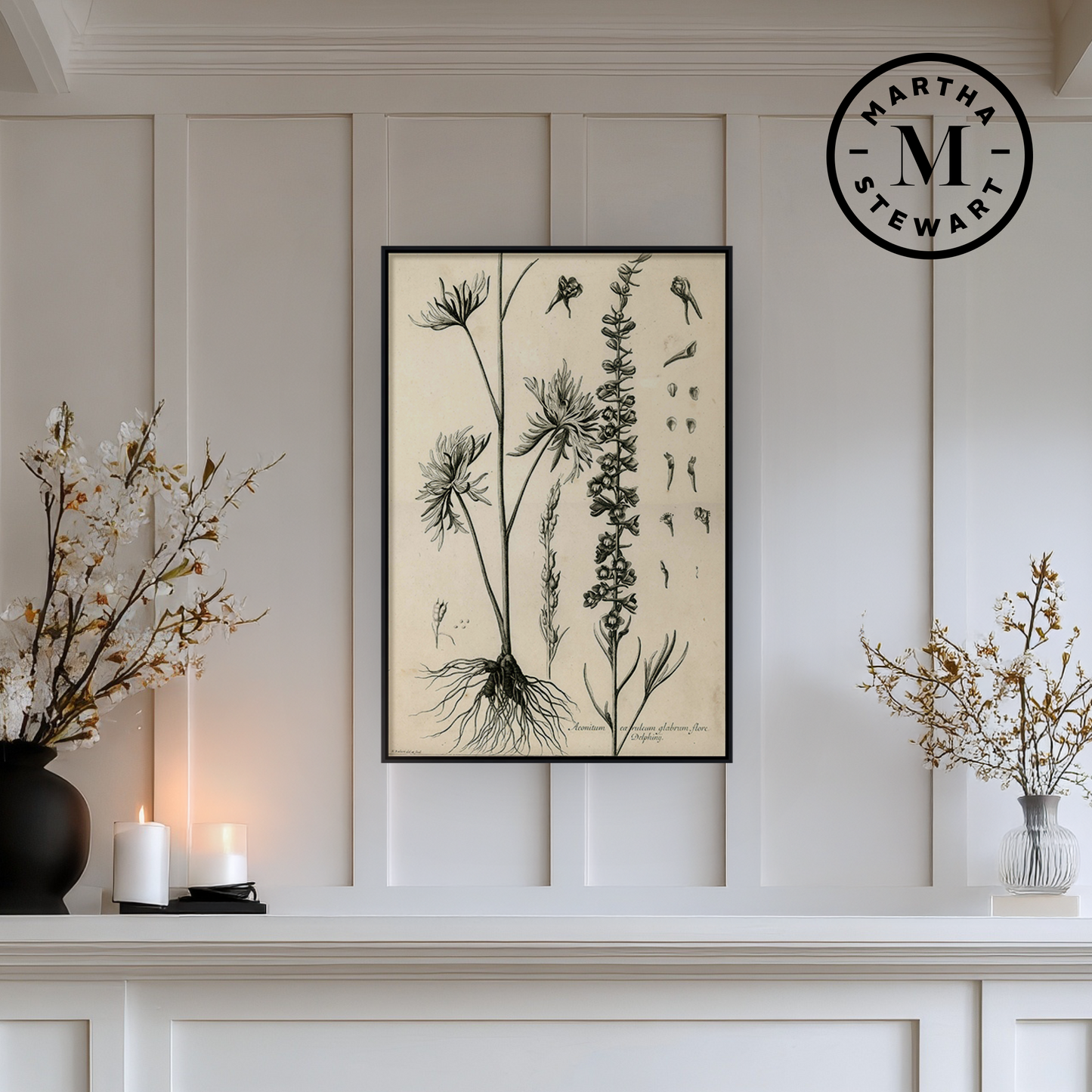 Martha Stewart Skylands | Woodland Botanical Study: Wildflower | Framed Vintage Botanical Print | Estate Study Décor