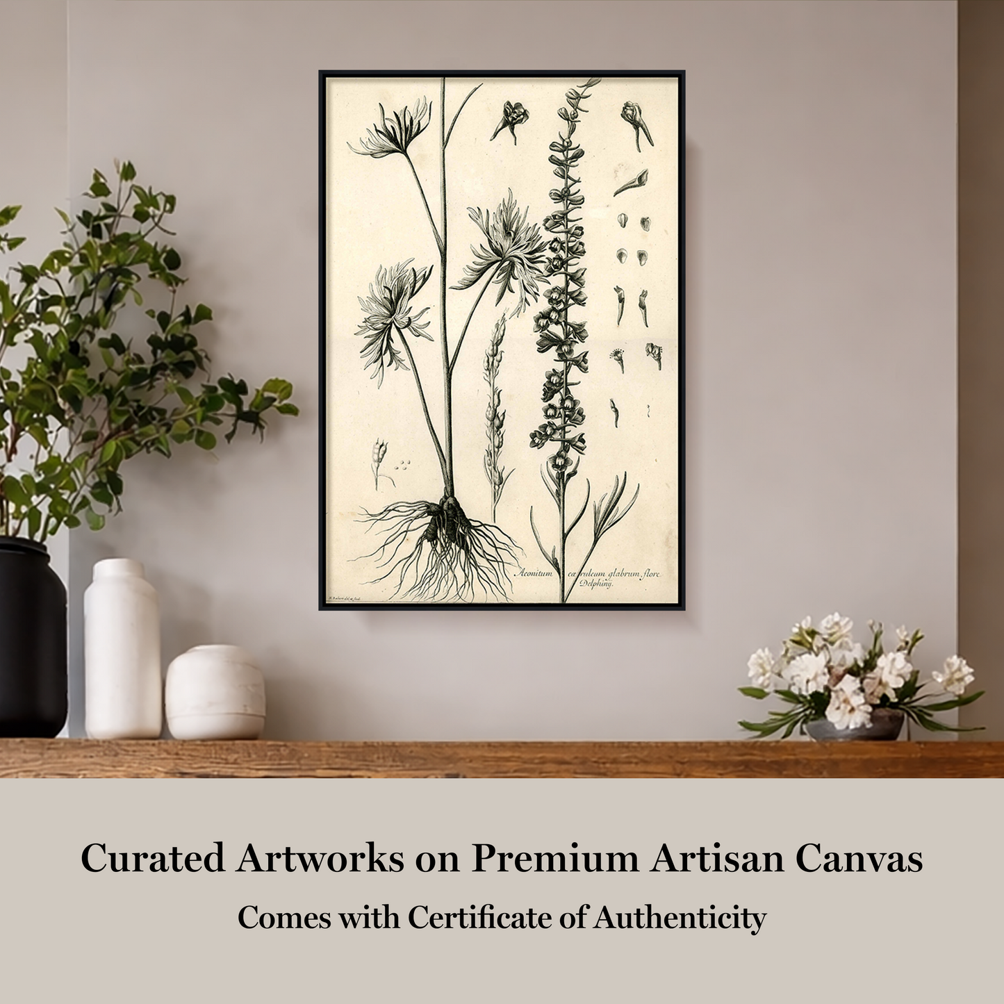 Martha Stewart Skylands | Woodland Botanical Study: Wildflower | Framed Vintage Botanical Print | Estate Study Décor