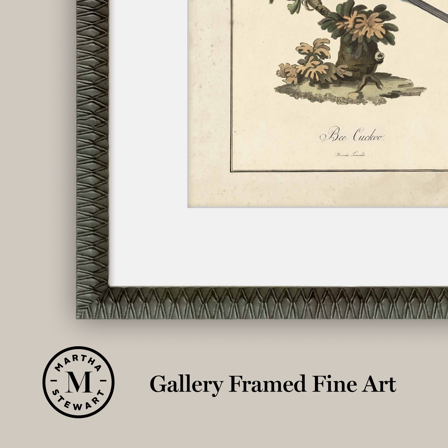 Martha Stewart Skylands | Ornithology Plate: Bluebird I | Framed Vintage Bird Illustration | Estate Natural History Art