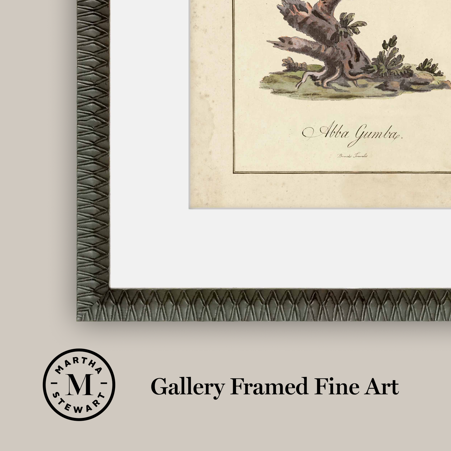 Martha Stewart Skylands | Ornithology Plate: Bluebird II | Framed Vintage Bird Illustration | Estate Natural History Art
