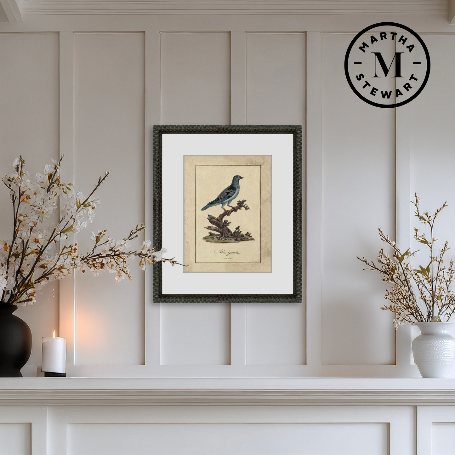 Martha Stewart Skylands | Ornithology Plate: Bluebird II | Framed Vintage Bird Illustration | Estate Natural History Art