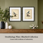 Martha Stewart Skylands | Ornithology Plate: Bluebird II | Framed Vintage Bird Illustration | Estate Natural History Art