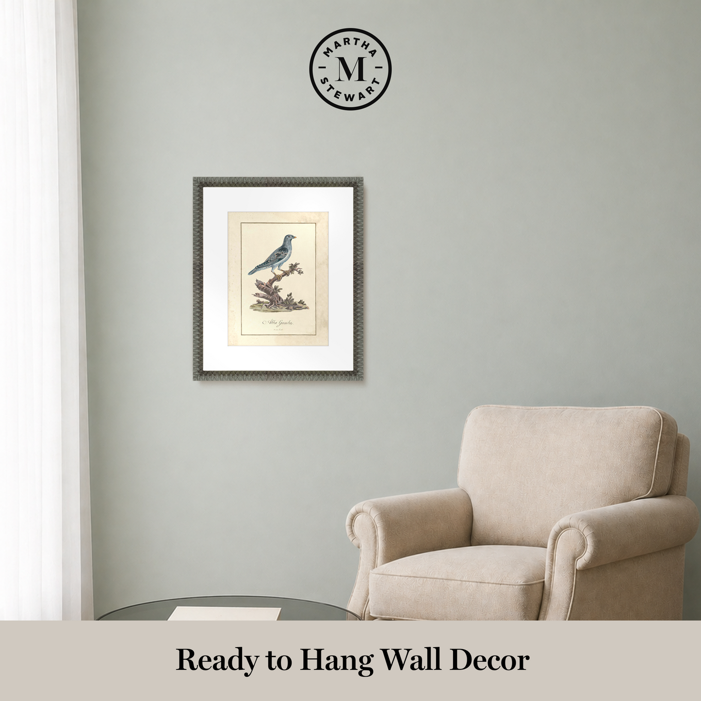 Martha Stewart Skylands | Ornithology Plate: Bluebird II | Framed Vintage Bird Illustration | Estate Natural History Art