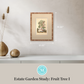Martha Stewart Skylands | Estate Garden Study: Fruit Tree I | Framed Vintage Botanical Fruit Illustration | Historic Estate Wall Art