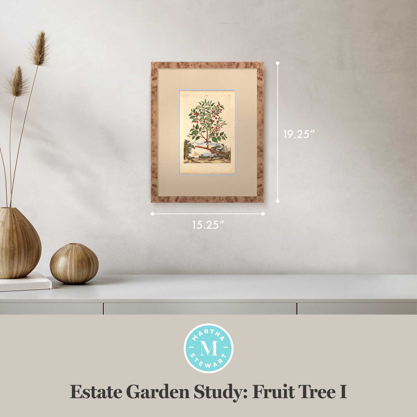 Martha Stewart Skylands | Estate Garden Study: Fruit Tree I | Framed Vintage Botanical Fruit Illustration | Historic Estate Wall Art