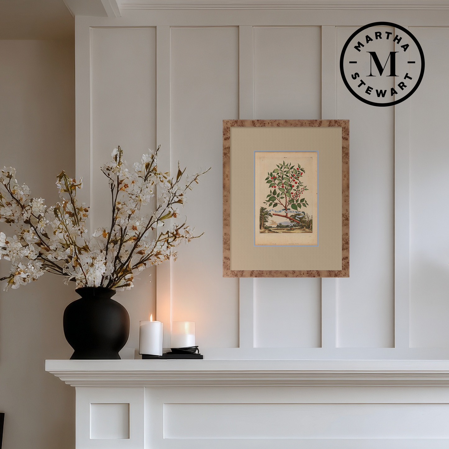 Martha Stewart Skylands | Estate Garden Study: Fruit Tree I | Framed Vintage Botanical Fruit Illustration | Historic Estate Wall Art