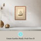 Martha Stewart Skylands | Estate Garden Study: Fruit Tree II | Framed Vintage Botanical Fruit Illustration | Historic Estate Wall Art