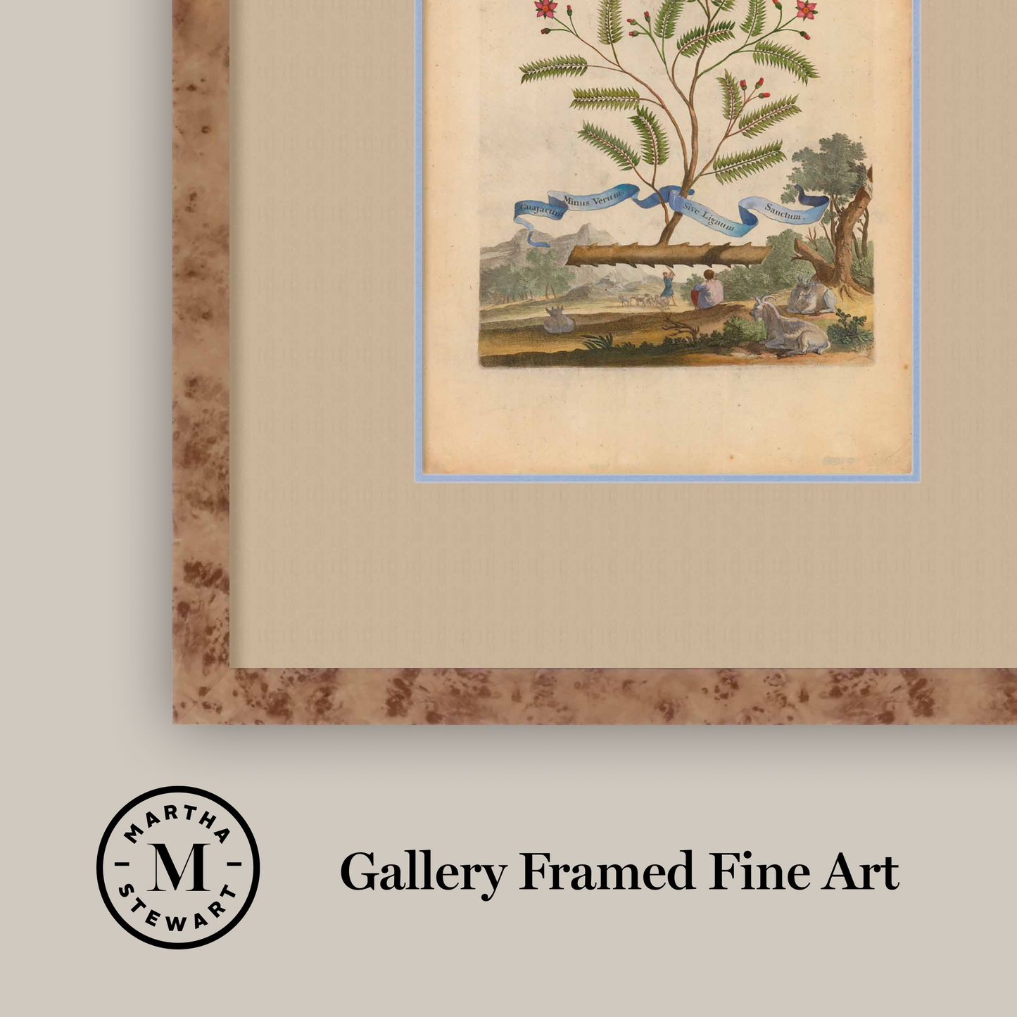 Martha Stewart Skylands | Estate Garden Study: Fruit Tree II | Framed Vintage Botanical Fruit Illustration | Historic Estate Wall Art