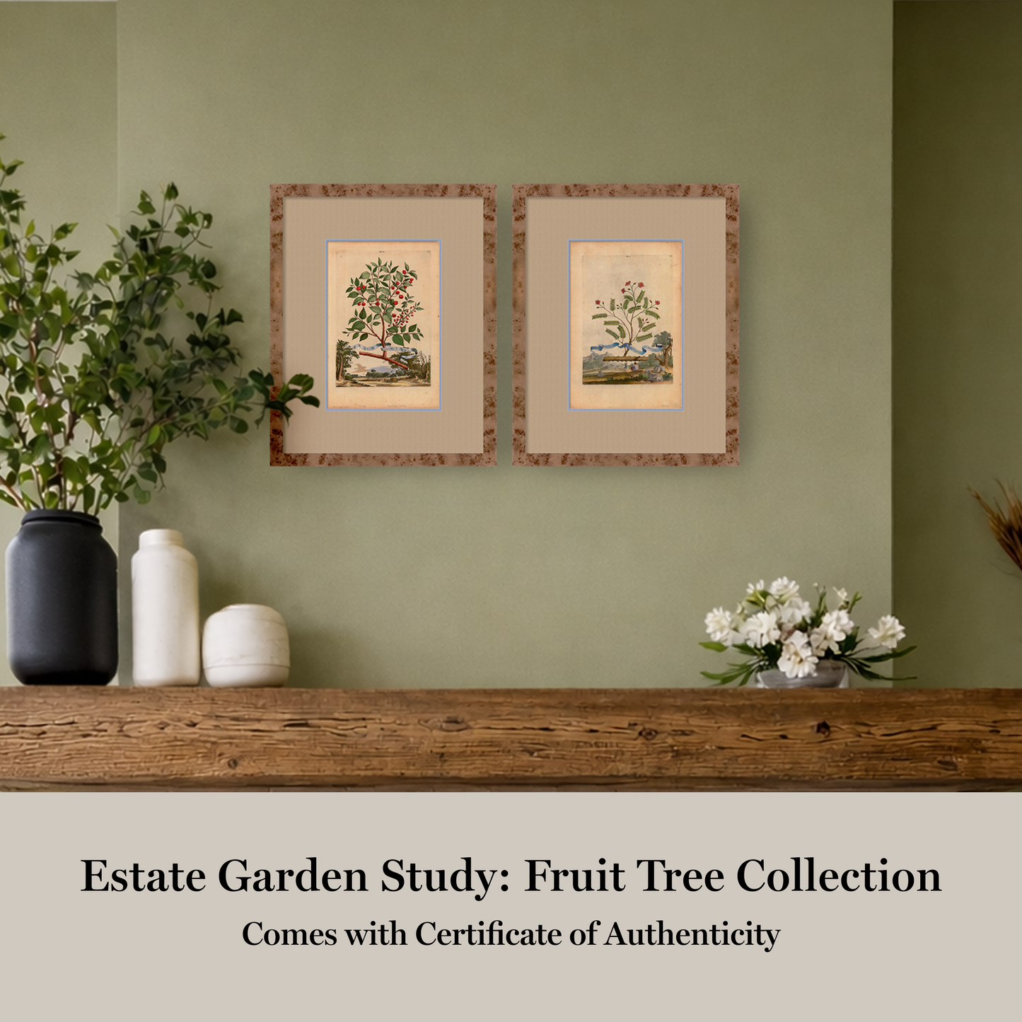 Martha Stewart Skylands | Estate Garden Study: Fruit Tree II | Framed Vintage Botanical Fruit Illustration | Historic Estate Wall Art