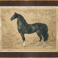 Martha Stewart Skylands | Equine Portrait Study | Framed Vintage Horse Illustration | Historic Estate Wall Art