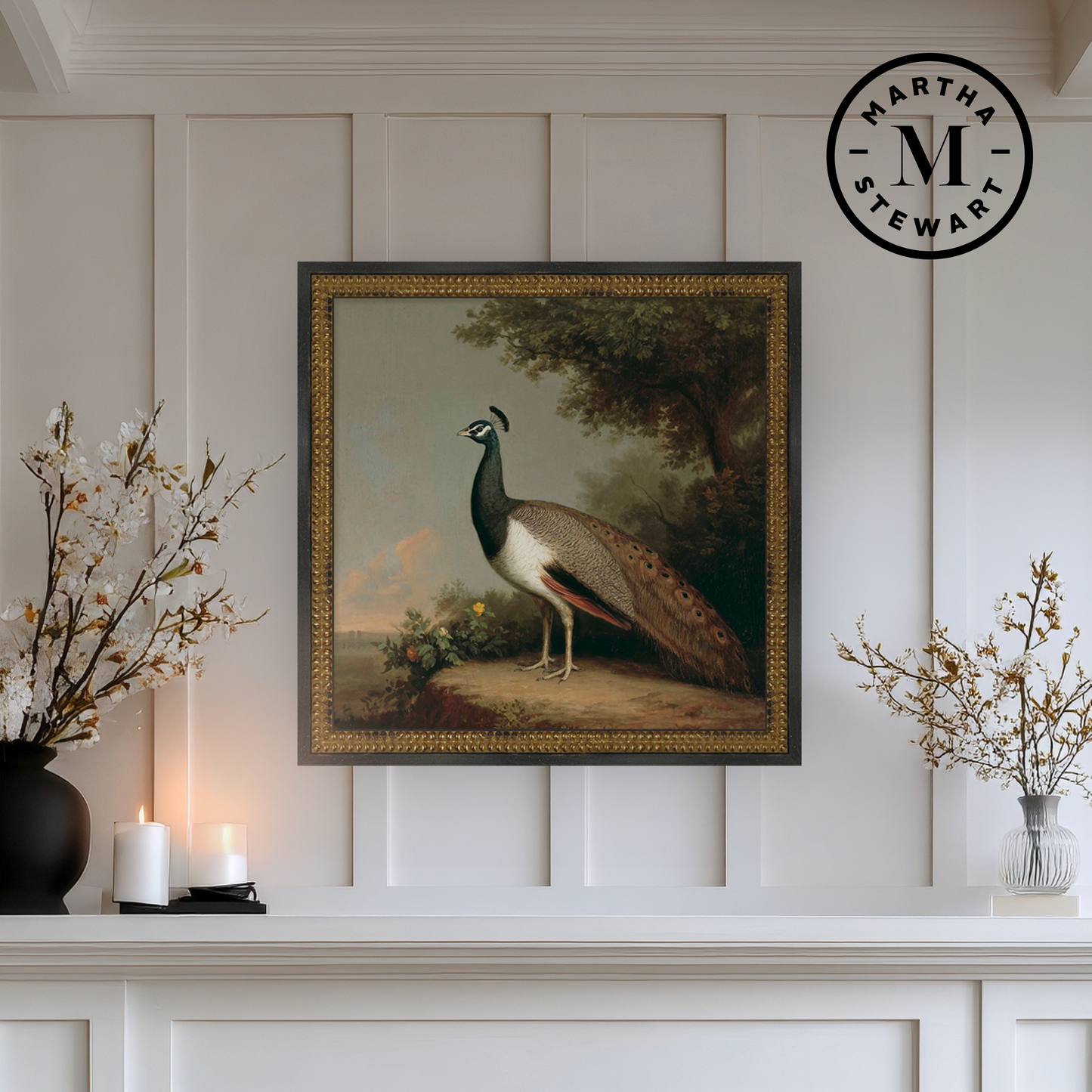 Martha Stewart Skylands | Ornithology Plate: Peacock | Framed Vintage Bird Illustration | Estate Wildlife Wall Art