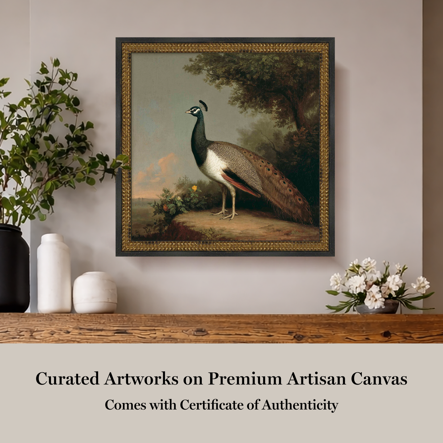 Martha Stewart Skylands | Ornithology Plate: Peacock | Framed Vintage Bird Illustration | Estate Wildlife Wall Art