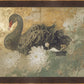 Martha Stewart Skylands | Waterfowl Study: Swan | Framed Vintage Swan Illustration | Historic Estate Wall Art