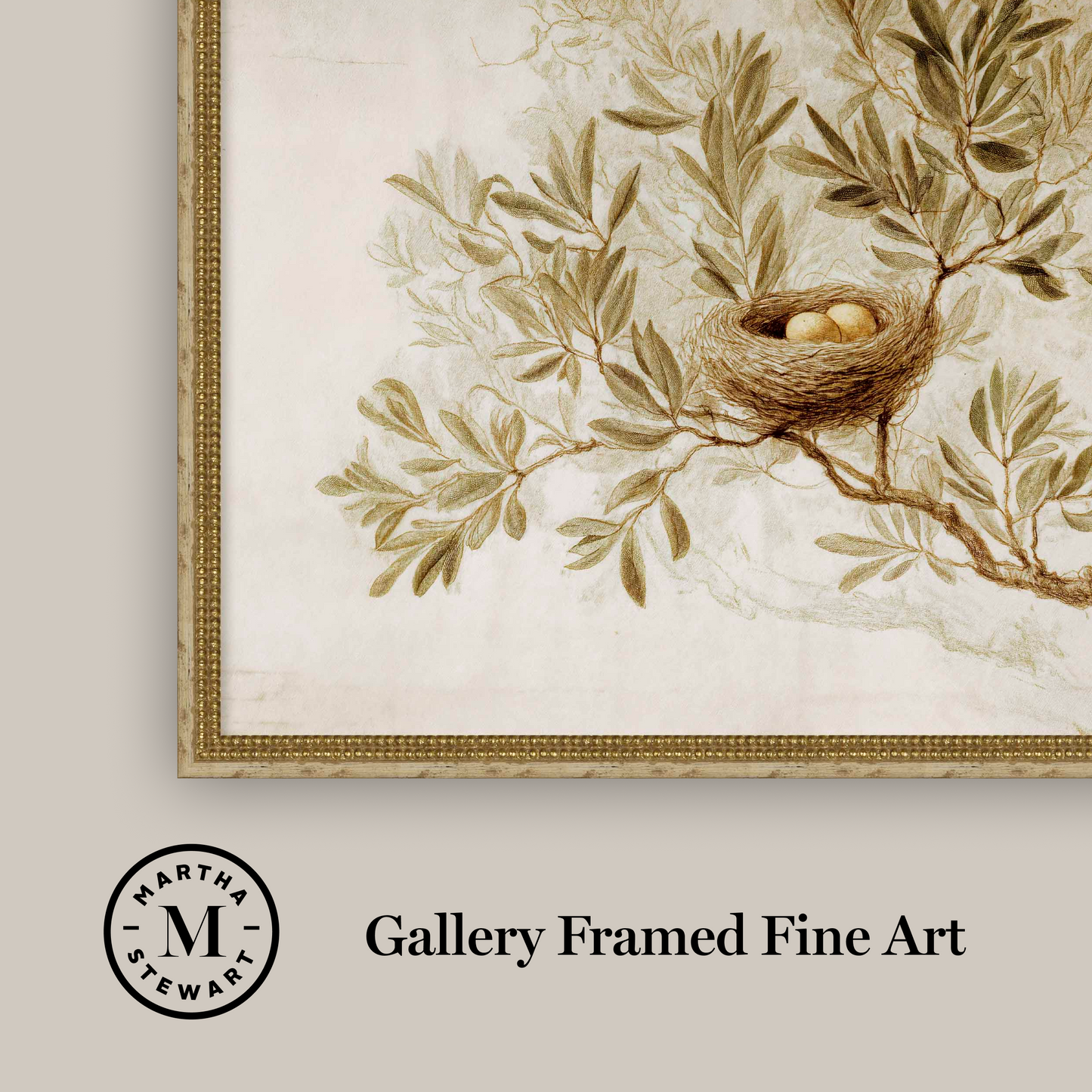 Martha Stewart Skylands | Songbird Study | Framed Vintage Bird Illustration | Estate Botanical Wall Art