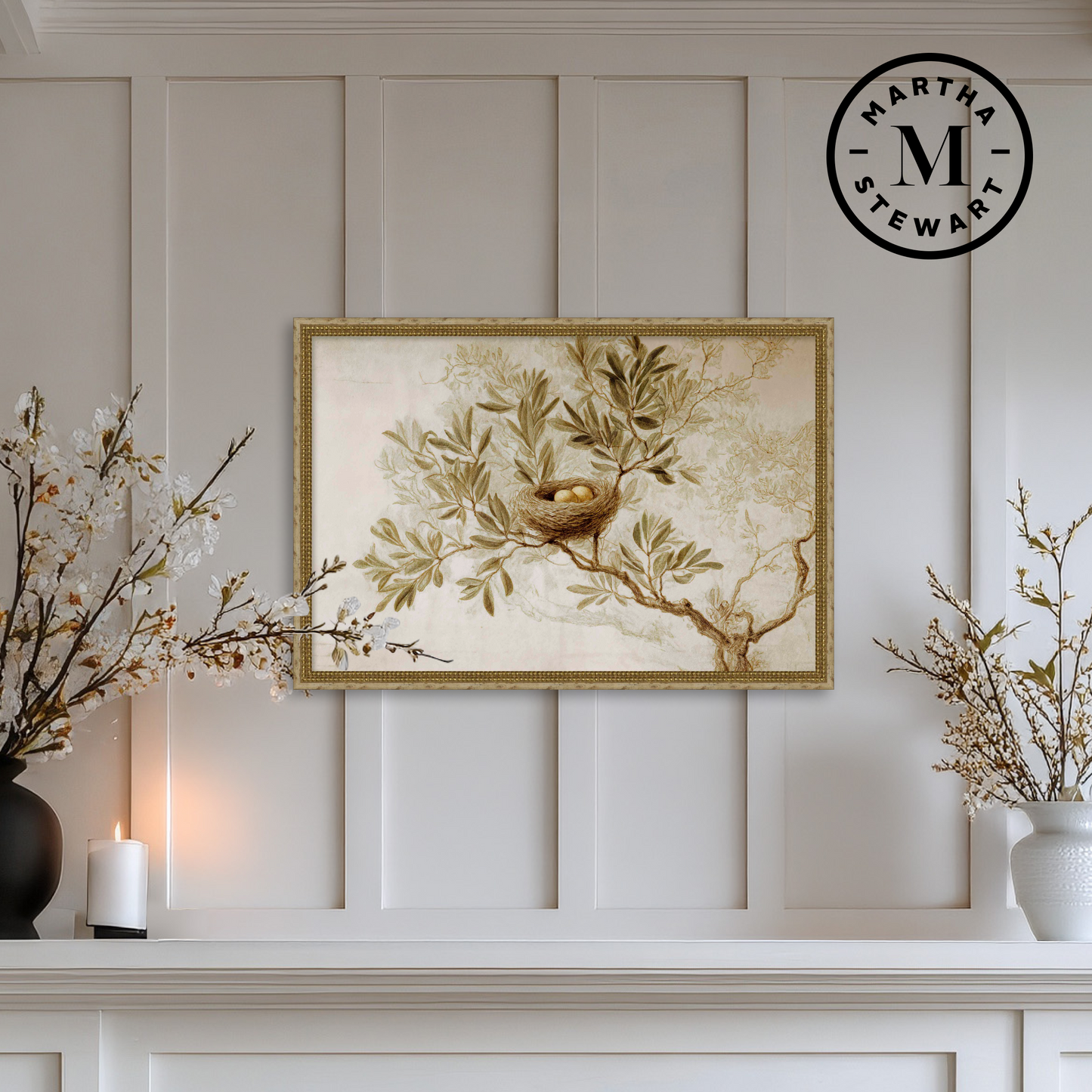 Martha Stewart Skylands | Songbird Study | Framed Vintage Bird Illustration | Estate Botanical Wall Art