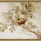 Martha Stewart Skylands | Songbird Study | Framed Vintage Bird Illustration | Estate Botanical Wall Art