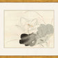 Martha Stewart Perry Street | Modern Botanical: Orchid Study | Framed Contemporary Wall Art