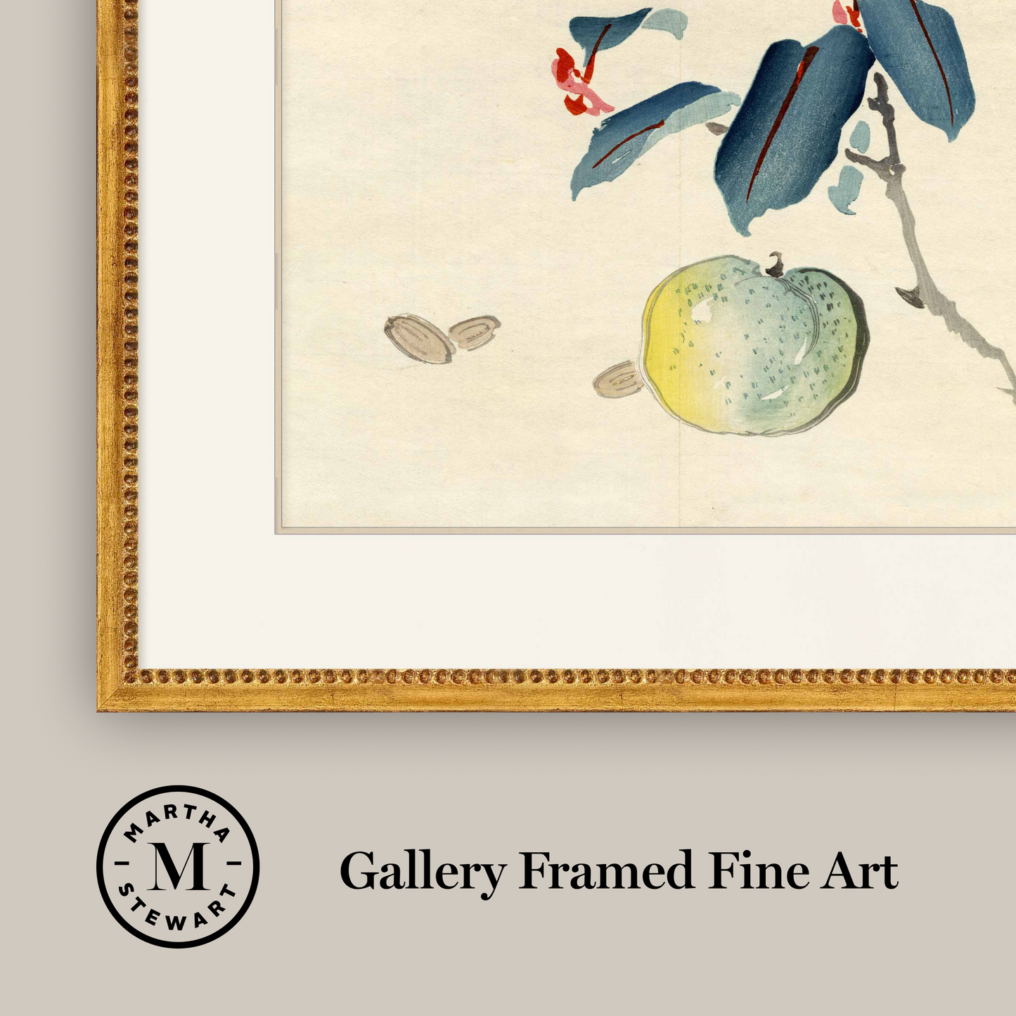 Martha Stewart Perry Street | Modern Still Life: Fruit Study | Framed Contemporary Botanical Art