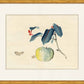 Martha Stewart Perry Street | Modern Still Life: Fruit Study | Framed Contemporary Botanical Art