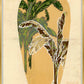 Martha Stewart Perry Street | Modern Botanical: Tropical Leaf Study | Framed Contemporary Wall Art