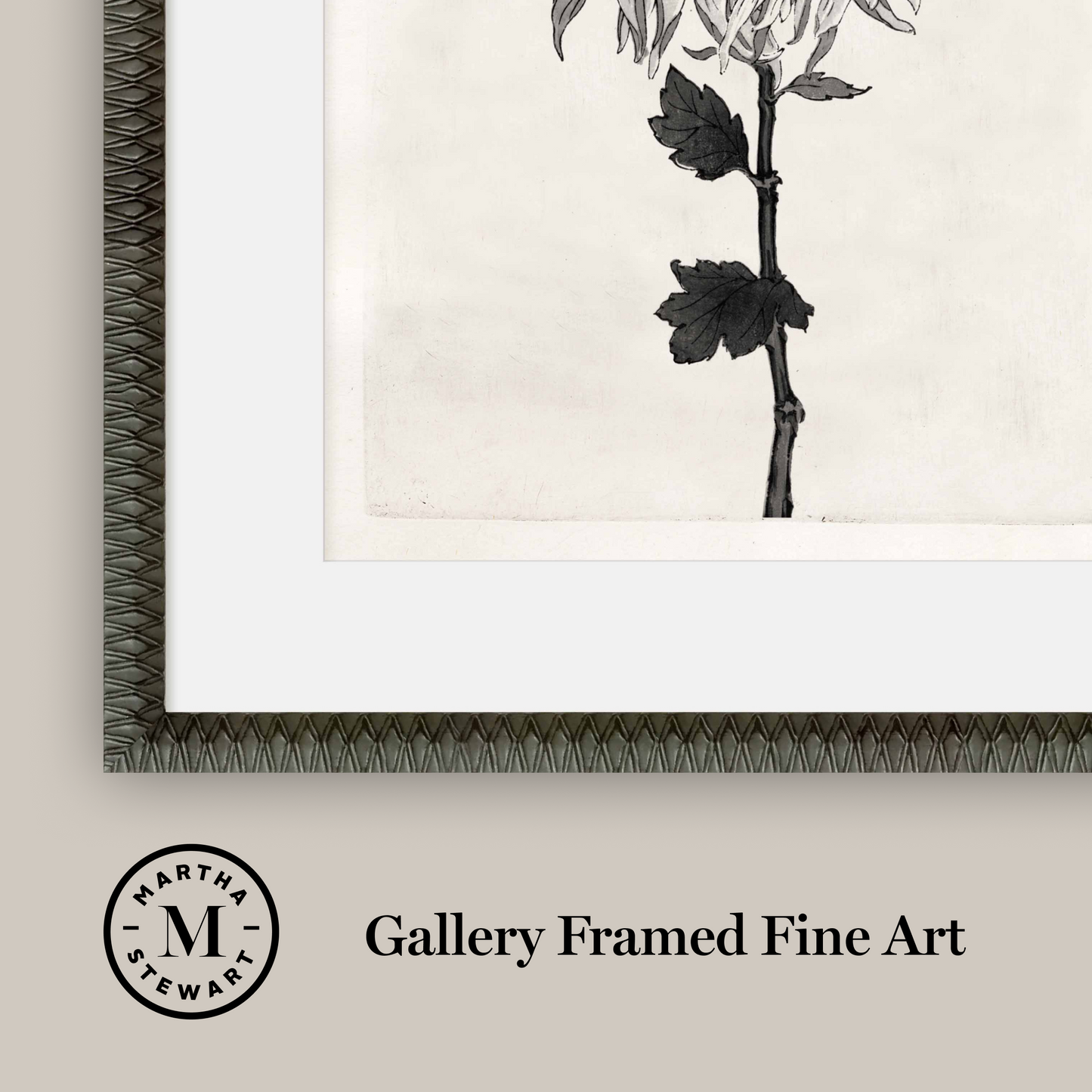 Martha Stewart Perry Street | Modern Floral Study I | Framed Black and White Contemporary Art