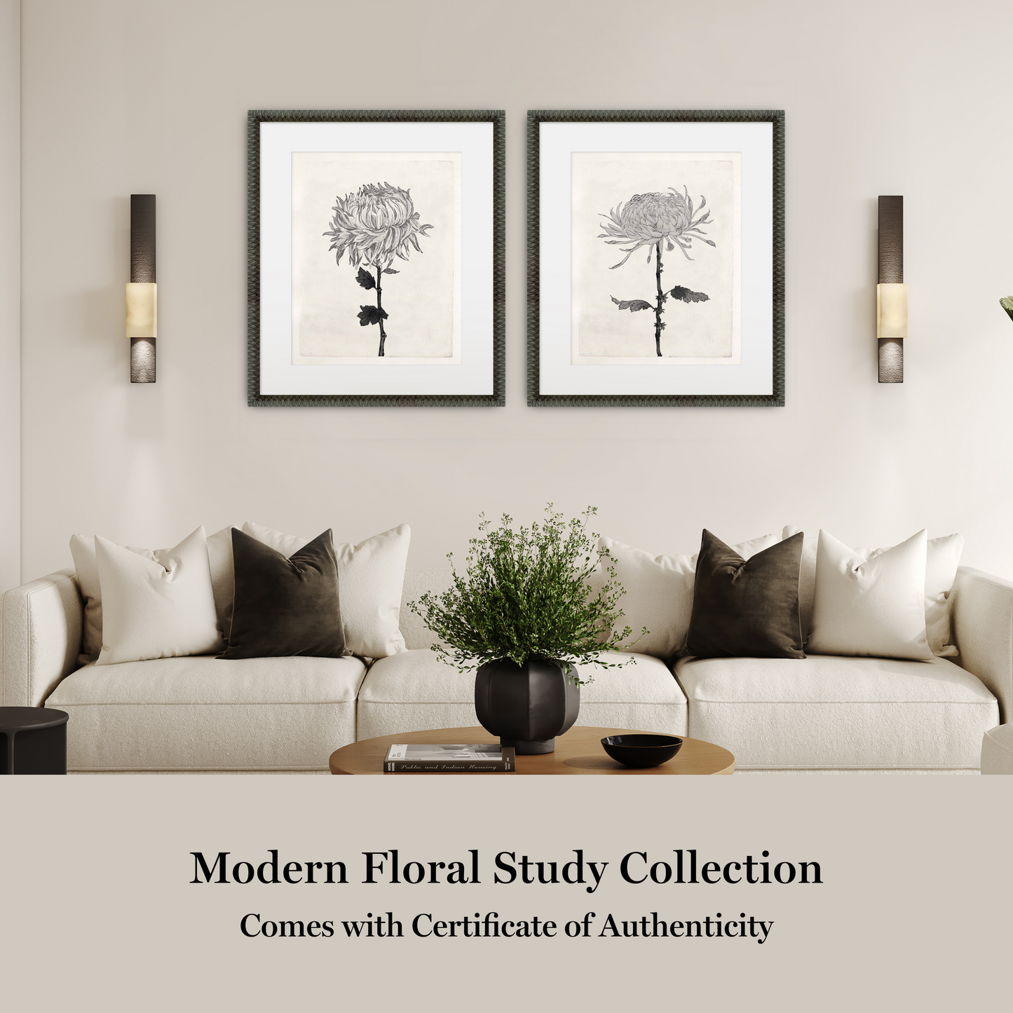 Martha Stewart Perry Street | Modern Floral Study I | Framed Black and White Contemporary Art