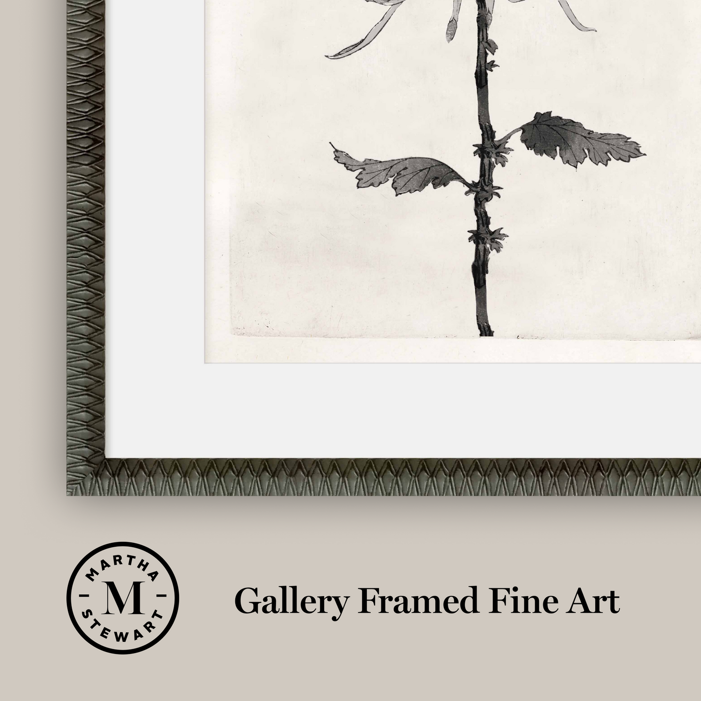 Martha Stewart Perry Street | Modern Floral Study II | Framed Contemporary Black and White Art