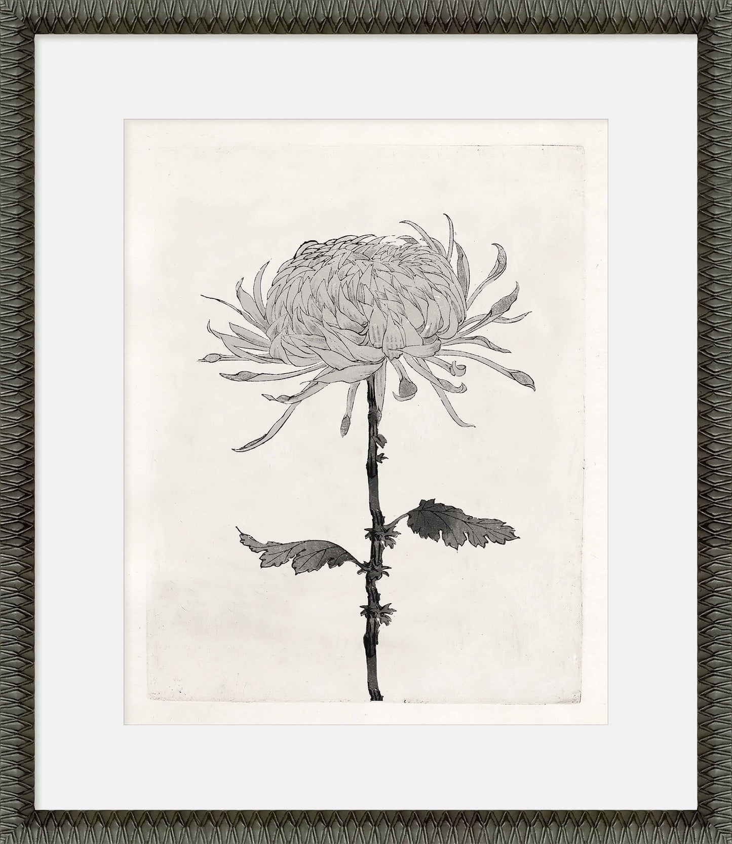 Martha Stewart Perry Street | Modern Floral Study II | Framed Contemporary Black and White Art
