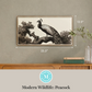 Martha Stewart Perry Street | Modern Wildlife: Peacock | Framed Contemporary Wall Art
