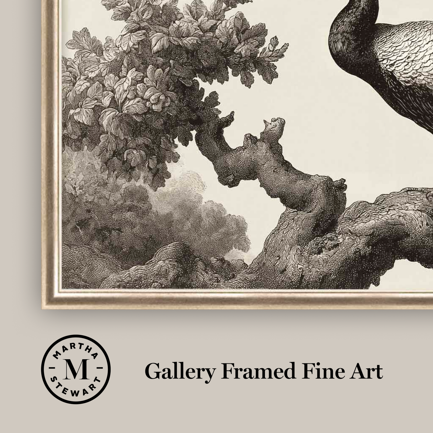 Martha Stewart Perry Street | Modern Wildlife: Peacock | Framed Contemporary Wall Art