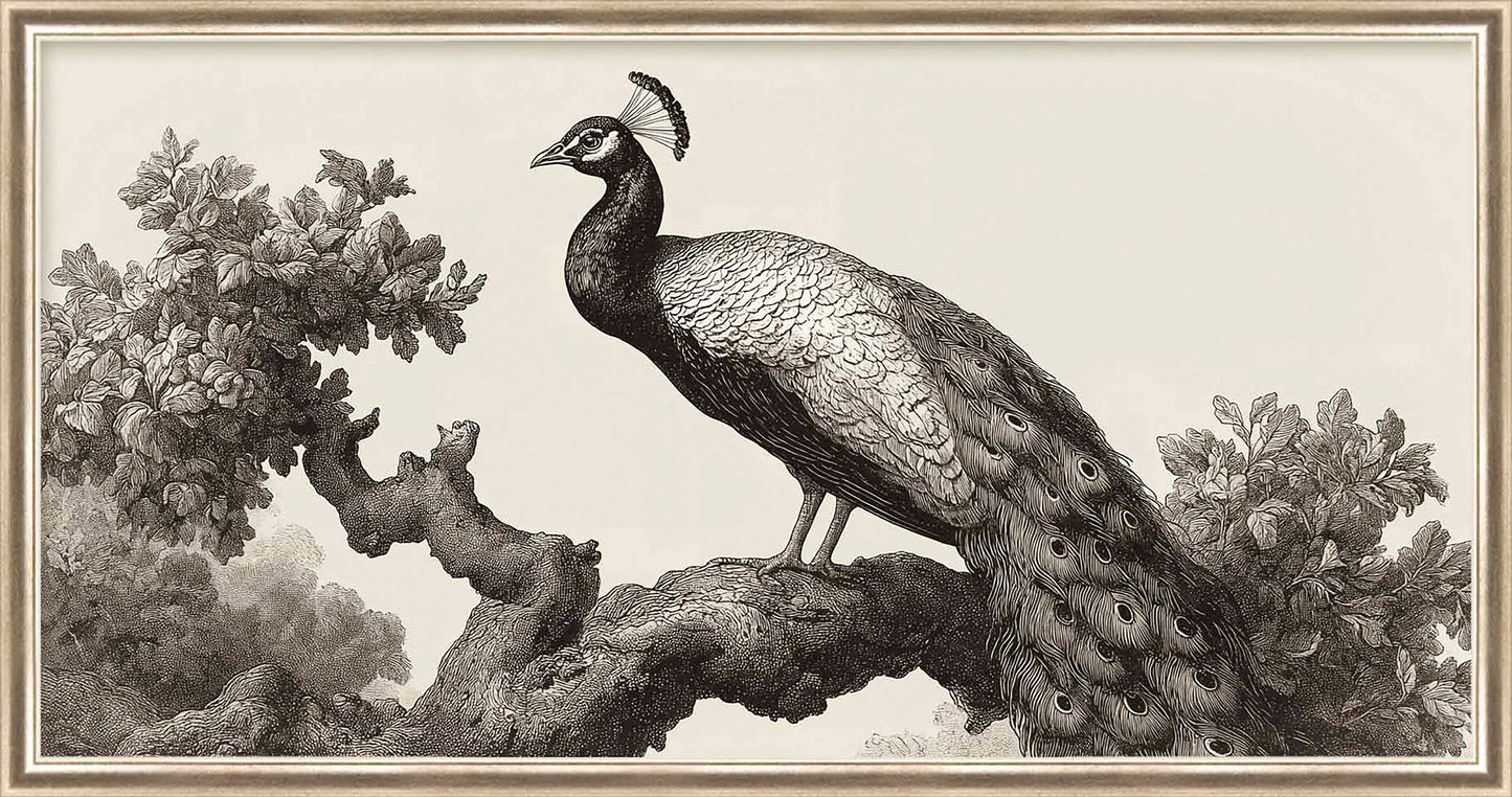 Martha Stewart Perry Street | Modern Wildlife: Peacock | Framed Contemporary Wall Art