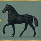 Martha Stewart Perry Street | Modern Equine Portrait | Framed Contemporary Horse Wall Art