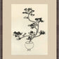 Martha Stewart Perry Street | Modern Botanical: Vessel Study I | Framed Contemporary Wall Art
