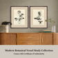 Martha Stewart Perry Street | Modern Botanical: Vessel Study II | Framed Contemporary Botanical Art
