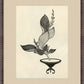 Martha Stewart Perry Street | Modern Botanical: Vessel Study II | Framed Contemporary Botanical Art
