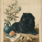 Martha Stewart Bedford | Harvest Still Life: Farm Dog Comapnion| Framed Country Farmhouse Wall Art