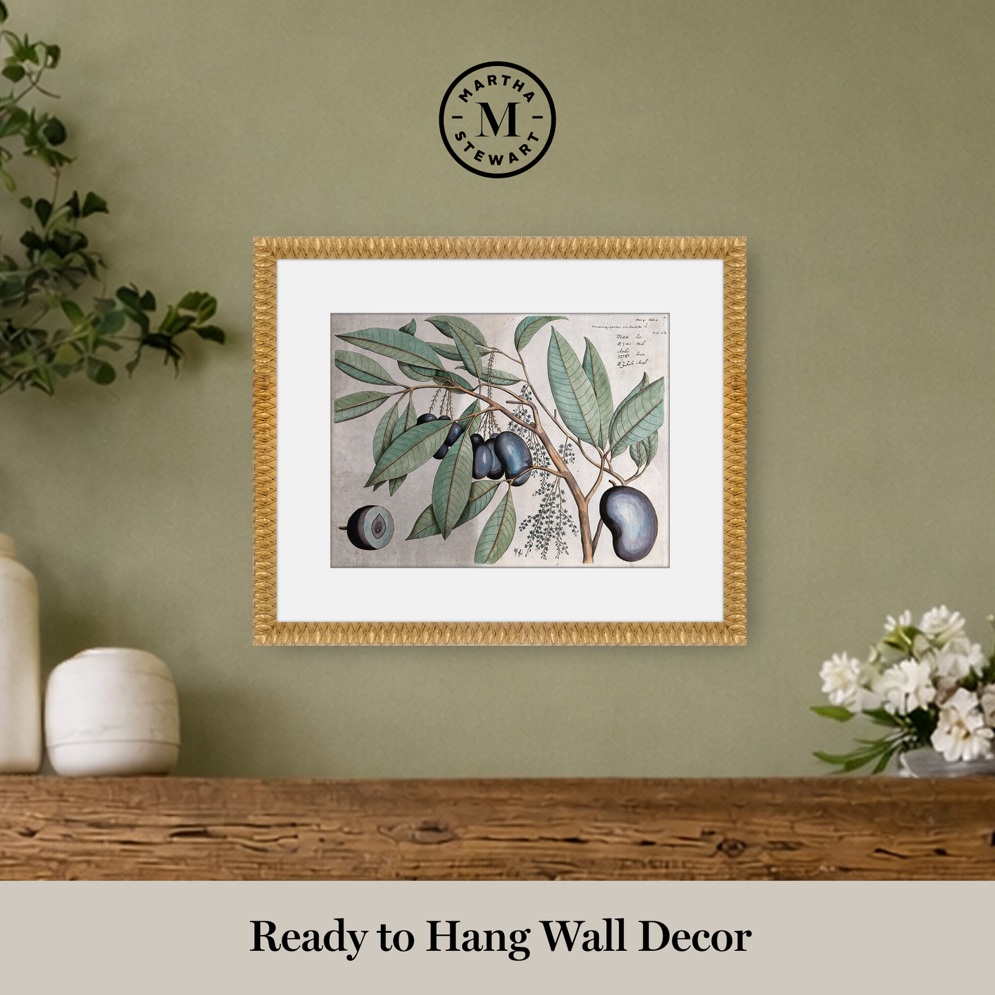 Martha Stewart Bedford | Orchard Botanical: Plum Branch | Framed Farmhouse Botanical Wall Art