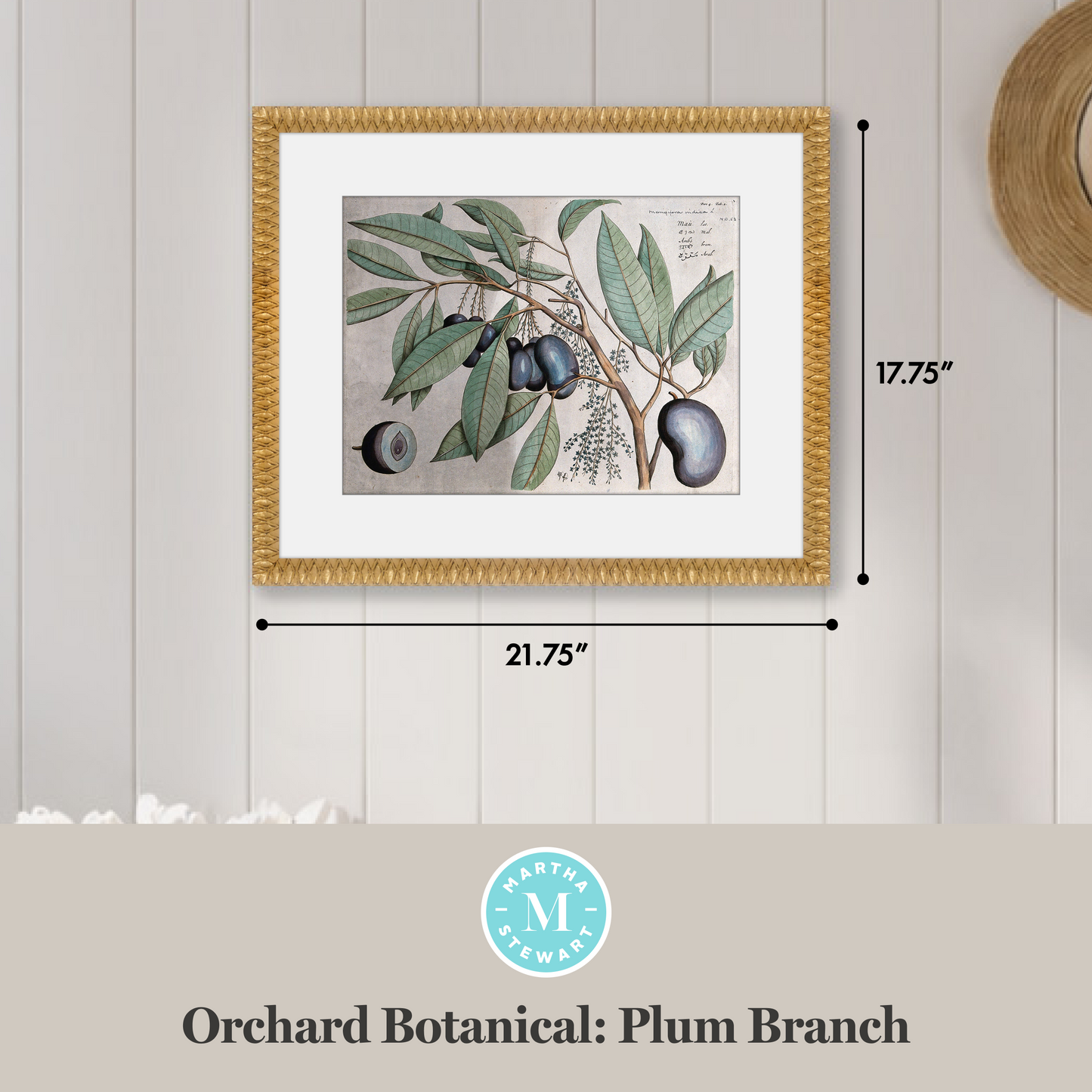 Martha Stewart Bedford | Orchard Botanical: Plum Branch | Framed Farmhouse Botanical Wall Art