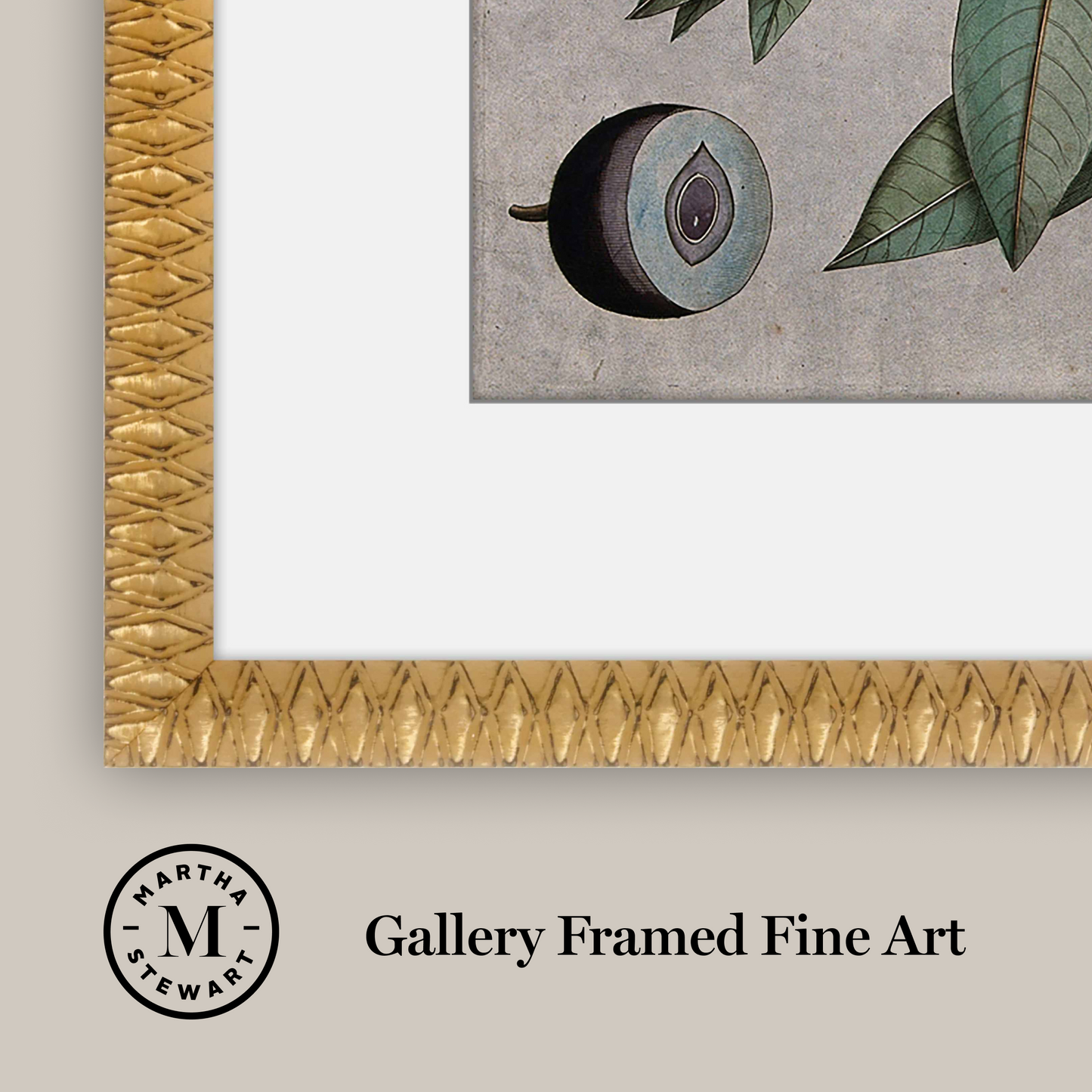 Martha Stewart Bedford | Orchard Botanical: Plum Branch | Framed Farmhouse Botanical Wall Art