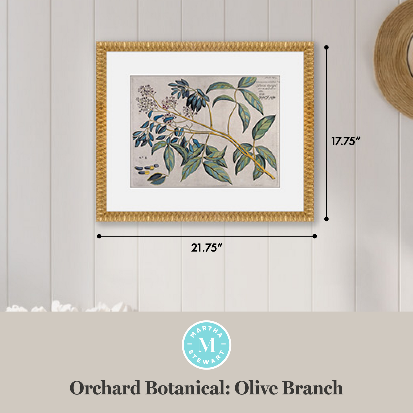 Martha Stewart Bedford | Orchard Botanical: Olive Branch | Framed Country Botanical Wall Art