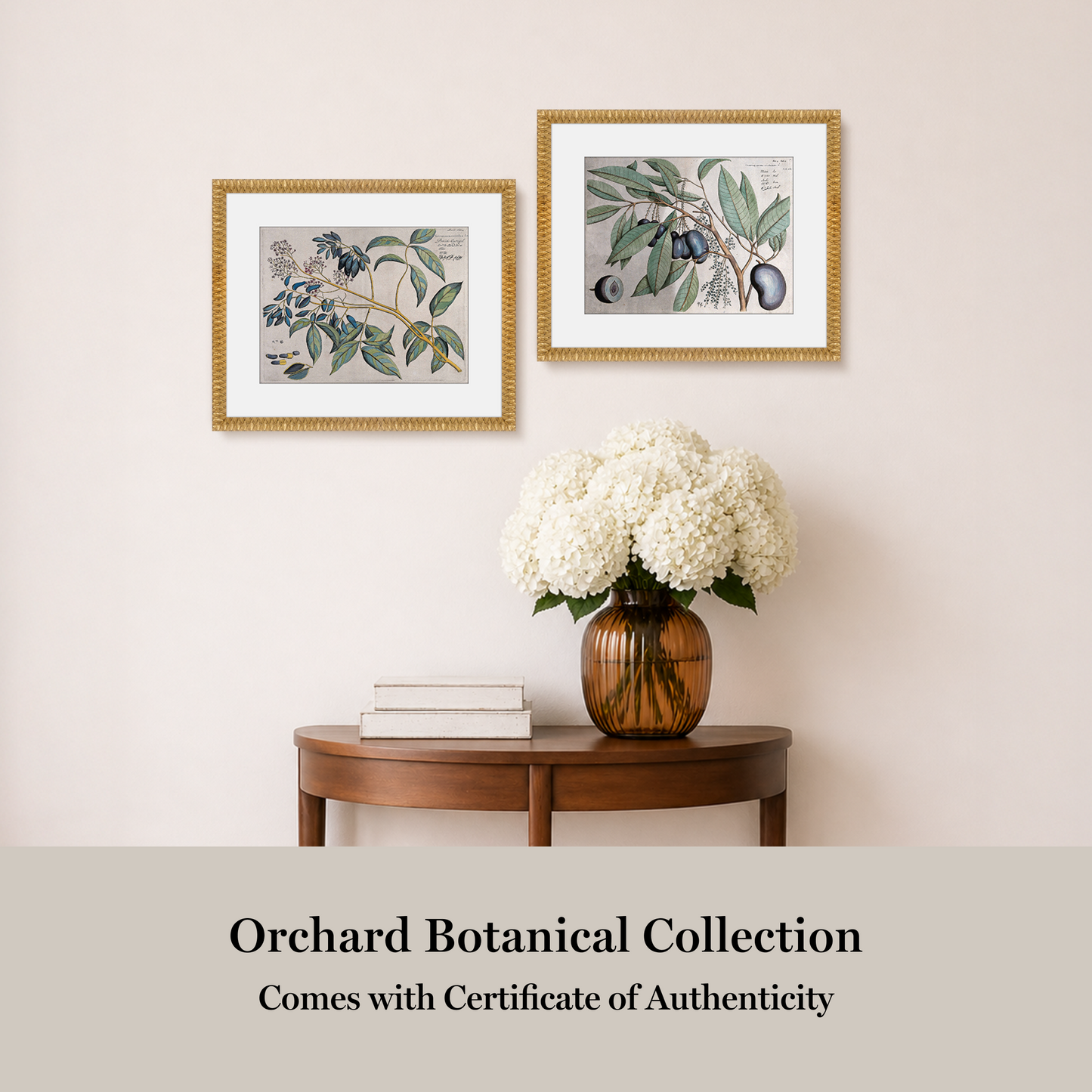 Martha Stewart Bedford | Orchard Botanical: Olive Branch | Framed Country Botanical Wall Art