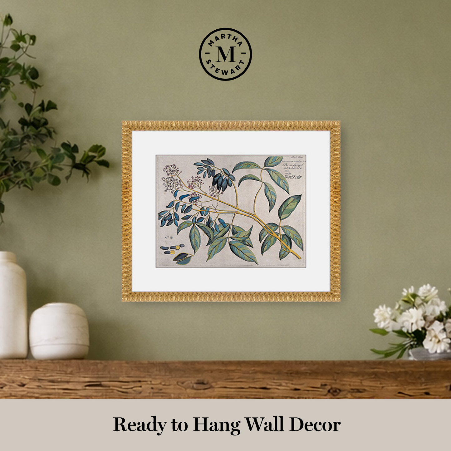Martha Stewart Bedford | Orchard Botanical: Olive Branch | Framed Country Botanical Wall Art