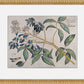 Martha Stewart Bedford | Orchard Botanical: Olive Branch | Framed Country Botanical Wall Art