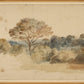 Martha Stewart Bedford | Pastoral Landscape: Tree Line | Framed Country Farmhouse Wall Art